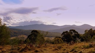 86 Grey Gums Rd Majors Creek NSW 2622