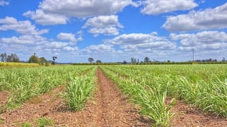 2207/2273 Wyrallah Rd Tuckurimba NSW 2480