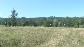 624 Tabulam Rd Lower Bottle Creek NSW 2469