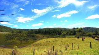 181 Lindsay Rd Bentley NSW 2480