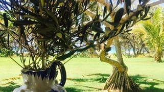 34 Tweed Coast Road, Cabarita Beach NSW 2488 34 Tweed Coast Road, Cabarita Beach NSW 2488