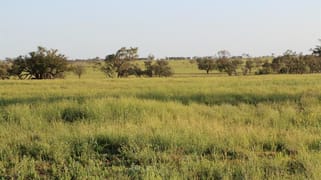 Adavale Road Blackall QLD 4472 Adavale Road Blackall QLD 4472