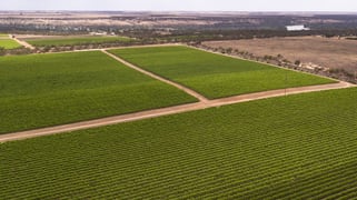 Glen Devlin Vineyard 13922 Goyder Highway Devlins Pound SA 5330 Glen Devlin Vineyard 13922 Goyder Highway Devlins Pound SA 5330