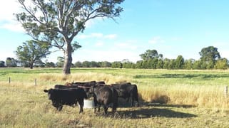 Rocky Castle Road Coonawarra SA 5263 Rocky Castle Road Coonawarra SA 5263