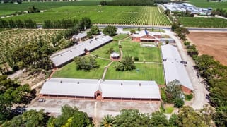 Coonawarra SA 5263 Coonawarra SA 5263