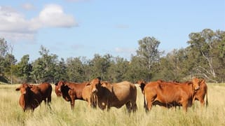Tablelands Road Sheep Station Creek QLD 4515 Tablelands Road Sheep Station Creek QLD 4515