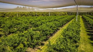 farmgate 1411 Gatton Esk Road Spring Creek QLD 4343 farmgate 1411 Gatton Esk Road Spring Creek QLD 4343