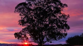 Warwick QLD 4370 Warwick QLD 4370