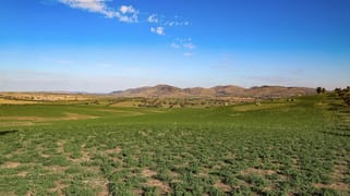 1507 Coppabella Road, Galong NSW 2585 1507 Coppabella Road, Galong NSW 2585