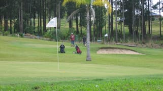 31 Palm Creek Road Tanawha QLD 4556 31 Palm Creek Road Tanawha QLD 4556