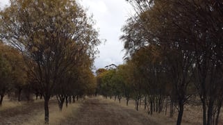 38 Avoca Road Morbinning WA 6304 38 Avoca Road Morbinning WA 6304