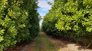 58 Oakenden School Road Oakenden QLD 4741 58 Oakenden School Road Oakenden QLD 4741
