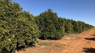 582 Government Road Renmark West SA 5341 582 Government Road Renmark West SA 5341