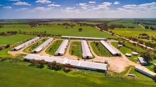 64 Nottle Road Ward Belt SA 5118 64 Nottle Road Ward Belt SA 5118