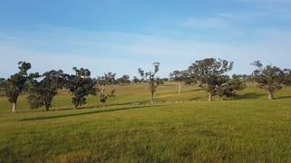 Uplands, Memagong Lane Young NSW 2594 Uplands, Memagong Lane Young NSW 2594