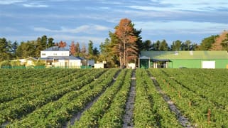 2373 Cowalla Road Cowalla WA 6503 2373 Cowalla Road Cowalla WA 6503