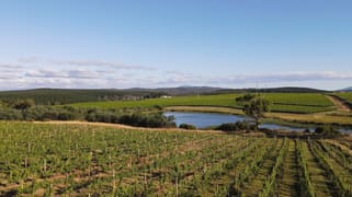 Evandale Vineyard and Pipers River Vineyard Evandale Road Evandale TAS 7212 Evandale Vineyard and Pipers River Vineyard Evandale Road Evandale TAS 7212