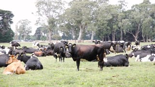 180 McLachlan Road Heyfield VIC 3858 180 McLachlan Road Heyfield VIC 3858