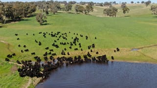 897 Murringo Flats Road Murringo NSW 2586 897 Murringo Flats Road Murringo NSW 2586