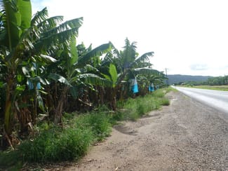 Rural / Farming commercial property leased at Boogan QLD 4871 Rural / Farming commercial property leased at Boogan QLD 4871