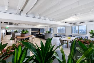 Offices commercial property for lease at 323 Castlereagh Street Sydney NSW 2000
