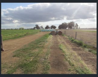 Rural / Farming commercial property leased at 8511 Murray Valley Highway Kerang East VIC 3579 Rural / Farming commercial property leased at 8511 Murray Valley Highway Kerang East VIC 3579
