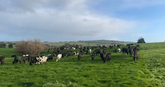 Rural / Farming commercial property leased at 464 Timboon-Colac Road Scotts Creek VIC 3267 Rural / Farming commercial property leased at 464 Timboon-Colac Road Scotts Creek VIC 3267