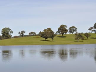 Rural / Farming commercial property sold at Via Tungali Road Mount Crawford SA 5351 Rural / Farming commercial property sold at Via Tungali Road Mount Crawford SA 5351