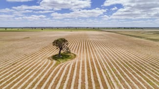 Rural / Farming commercial property sold at Mundulla SA 5270