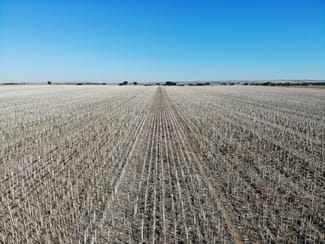 Rural / Farming commercial property sold at Lot 519 Nine Mile Road Angas Plains SA 5255 Rural / Farming commercial property sold at Lot 519 Nine Mile Road Angas Plains SA 5255