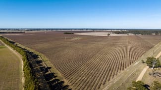 Rural / Farming commercial property sold at Limestone Quarry Vineyard 718 Rochow Wrays Road Koppamurra SA 5271