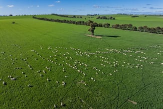 Rural / Farming commercial property sold at Greenethorpe NSW 2809