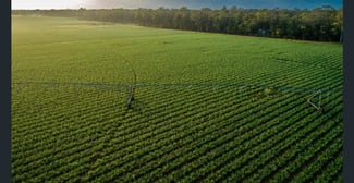 Rural / Farming commercial property sold at 143 River Road Tinana QLD 4650