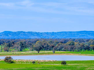 Rural / Farming commercial property sold at VIC Rural / Farming commercial property sold at VIC
