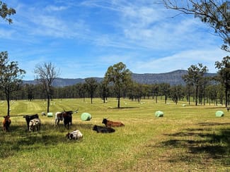 Rural / Farming commercial property sold at 694 Hermitage Road Pokolbin NSW 2320 Rural / Farming commercial property sold at 694 Hermitage Road Pokolbin NSW 2320