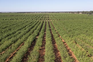 Rural / Farming commercial property for sale at 989 Euroley Road Euroley NSW 2700