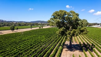 Rural / Farming commercial property for sale at 63 Days Road Kangarilla SA 5157 Rural / Farming commercial property for sale at 63 Days Road Kangarilla SA 5157