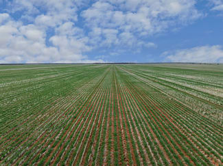 Rural / Farming commercial property for sale at 2423 Petro Mail Road Arumpo NSW 2715