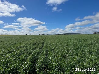 Rural / Farming commercial property sold at 207 Wilgaroi Road Bellata NSW 2397 Rural / Farming commercial property sold at 207 Wilgaroi Road Bellata NSW 2397