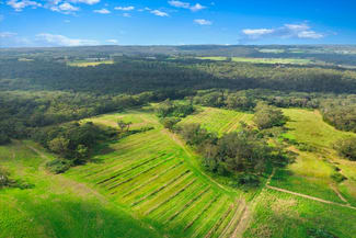 Rural / Farming commercial property for sale at Lillicrapps Road Mangrove Mountain NSW 2250 Rural / Farming commercial property for sale at Lillicrapps Road Mangrove Mountain NSW 2250