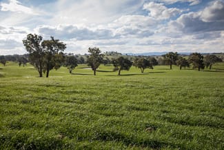Rural / Farming commercial property sold at Glenarvon, Burnt Yards Road Mandurama NSW 2792 Rural / Farming commercial property sold at Glenarvon, Burnt Yards Road Mandurama NSW 2792