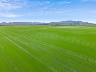 Rural / Farming commercial property for sale at 1077 Yarram Gap Road Willaura VIC 3379