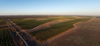 Rural / Farming commercial property for sale at 971 Wilga Road Red Cliffs VIC 3496 Rural / Farming commercial property for sale at 971 Wilga Road Red Cliffs VIC 3496