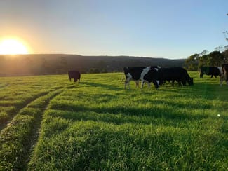 Rural / Farming commercial property for sale at Otway Milk 2310 Carlisle Road Carlisle River VIC 3239 Rural / Farming commercial property for sale at Otway Milk 2310 Carlisle Road Carlisle River VIC 3239