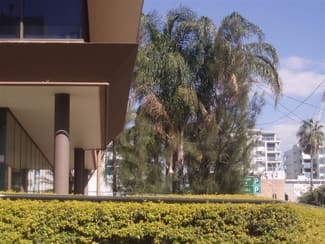 Offices commercial property leased at South Brisbane QLD 4101 Offices commercial property leased at South Brisbane QLD 4101