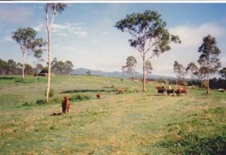 Rural / Farming commercial property sold at Berajondo QLD 4674