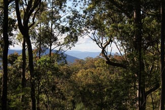 Rural / Farming commercial property sold at LOT 110 Upper Avon Road Gloucester NSW 2422