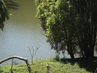 Rural / Farming commercial property sold at Lot 128 Tatham Casino NSW 2470
