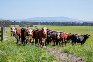 Rural / Farming commercial property sold at Hazelwood Road Traralgon VIC 3844 Rural / Farming commercial property sold at Hazelwood Road Traralgon VIC 3844