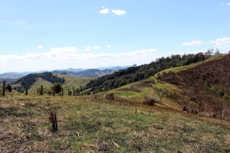 Rural / Farming commercial property sold at 595 Dees Road Belbora NSW 2422